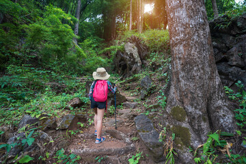Obraz premium asian child hiking or kid girl carry backpack holding walking pole or people trekking and camper camping in nature forest or natural wild jungle on holiday travel adventure at lan sang national park