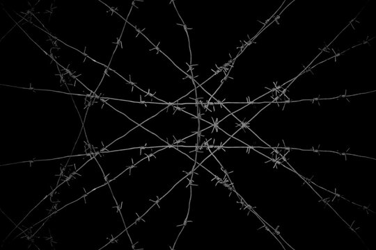Old security barbed wire isolated on black background. Sharp military security fence. Closeup image. crossed Lines of barbed wire on black background. concentration camp
