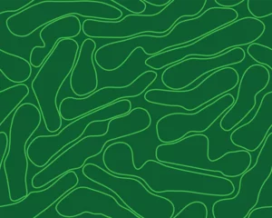 Keuken achterwand Landschap patronen Golf course layout outline seamless pattern. Top view of vector map color illustration  © andriocolts