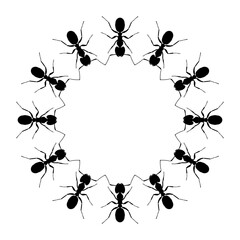 Colony of the Ant Silhouette Circle Shape Composition for Art Illustration, Logo, Pictogram, Website, or Graphic Design Element. Format PNG
