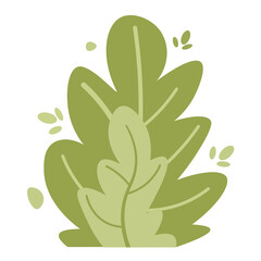 Tropical foliage plant bush on transparent background