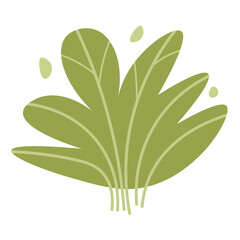 Tropical foliage plant bush on transparent background