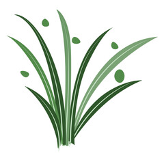 Tropical foliage plant bush on transparent background