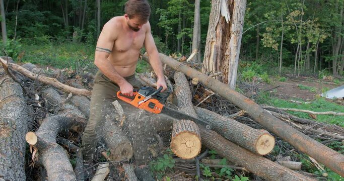 sexy handsome lumberjack holds a chainsaw in his hands and cuts a tree into stumps while standing in the forest slow motion job profession occupation