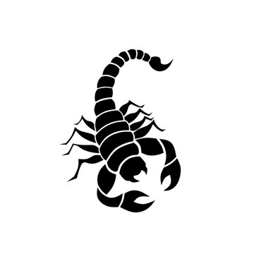 Scorpion animal silhouette illustration design vector in black color.  This animal is very dangerous because it has a deadly poison