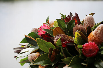 Australian native flowers for funeral with include Banksias, protea and leucodendron isolated bereavement