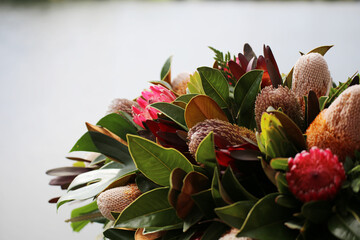 Australian native flowers for funeral with include Banksias, protea and leucodendron isolated...