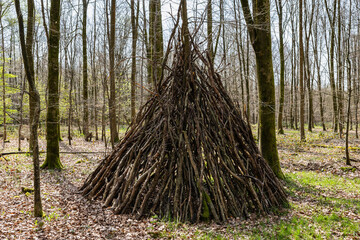 Abri tipi fait de branches en forêt