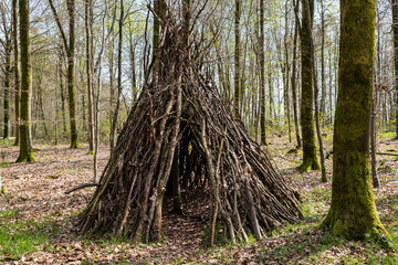 Abri tipi fait de branches en forêt © S. Leitenberger