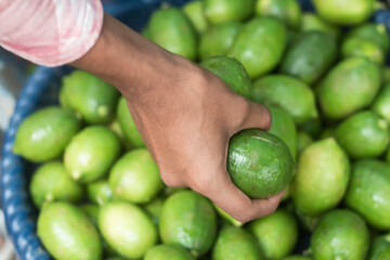 A hand holds a lemon among many lemons