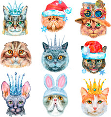 Set of portraits of cats of different breeds with accessories. Watercolor hand drawn illustration