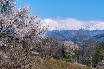 北アルプスと山里