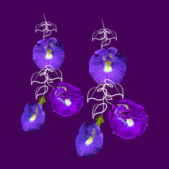Vector illustration of a butterfly flower
