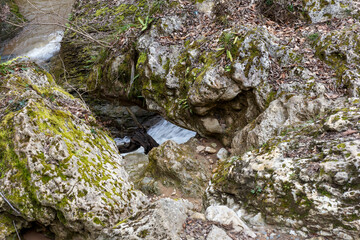 Spring forest, natural park the sources of the mountain river carrying their waters to the big river.