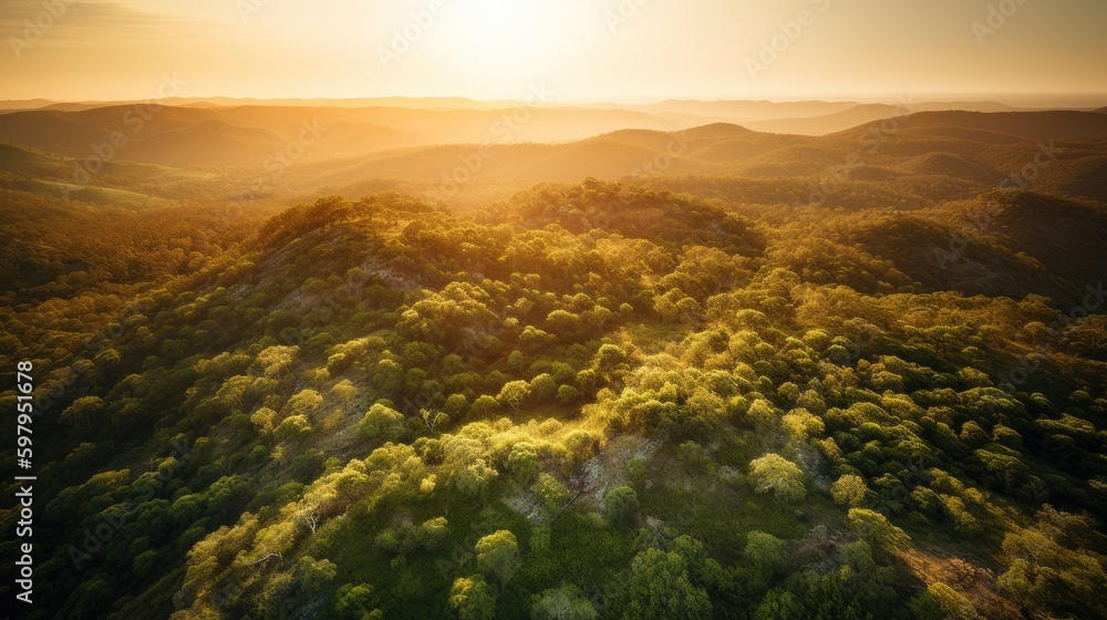 Canvas Prints A stunning aerial view of the lush green forests and rolling hills of Western Australia on a bright and sunny day, with the warm orange hues of the sun setting in the distance. generative ai