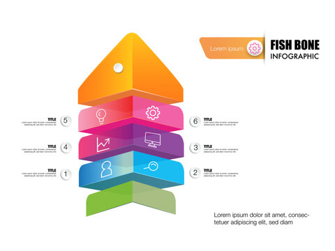 Infographic business fish bone chart to present data, progress, direction, infographic that outlines the steps of the management process can be a useful tool for organizations to visualize