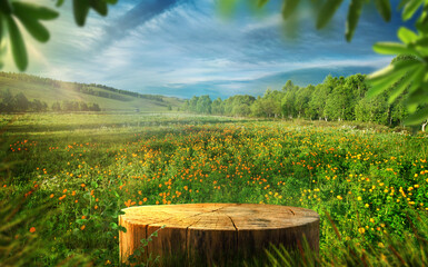 Tree Table wood Podium in the farm, a stand of display for food, perfume, and other products on nature background, Table in a farm with grass, Sunlight at morning