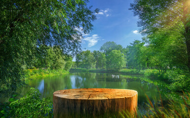 Tree Table wood Podium in front of lake of the farm, a stand of display for food, perfume, and other products on nature background, Table in a farm with river and grass, Sunlight at morning