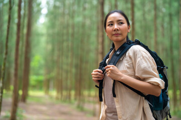 Naklejka na ściany i meble Attractive Asian woman travel on summer holiday vacation trip. Happy girl backpacker hiking in pine tree forest. Young woman traveler enjoy outdoor lifestyle walking in the mountain on summer vacation
