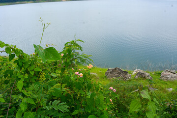 Photo of a waterscape in a village in Indonesia