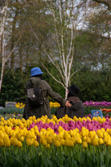 couple in love in the tulip gardens