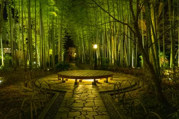 Gordijnen Bamboo forest path in Shuzenji, izu, Japan © U3photos