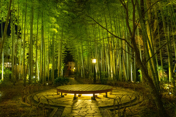 Bamboo forest path in Shuzenji, izu, Japan