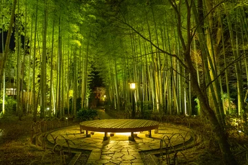 Deurstickers Bamboo forest path in Shuzenji, izu, Japan © U3photos