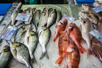 Fish stand on Mercado do Livramento food market in Setubal city, Portugal