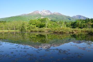 Fototapeta premium 妙高山