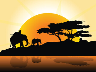 Naklejka na ściany i meble African sunset with elephant
