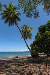 Fototapeta na wymiar Sandy beach of the small town of Drake Bay, Puntarenas, Costa Rica