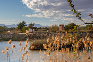 Vega Baja del Segura - Guardamar del Segura - Paisajes naturales en la desembocadura del río...