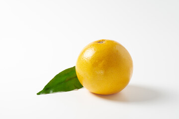 ピンクグレープフルーツ　白背景