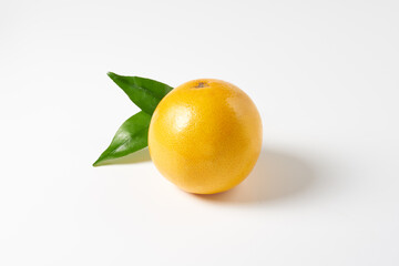 ピンクグレープフルーツ　白背景