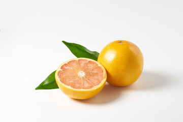 ピンクグレープフルーツ　白背景