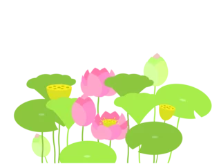 Foto op Canvas 蓮の花と葉っぱの風景イラスト © sorapika