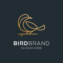 Bird vector logo. Fancy bird. Line vector logo design.