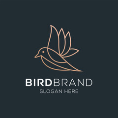 Bird vector logo. Fancy bird. Line vector logo design.