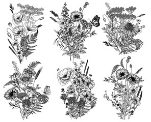 Vector set of 6 bouquets of wild flowers and plants. Chamomile, clover, chicory, poppy, cornflower, bells, periwinkle, buttercup, St. John's wort, fern, veronica, butterflies, bees in engraving style
