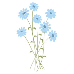 Vector illustration of field grass, flower, dry in flat style, isolated on a white background