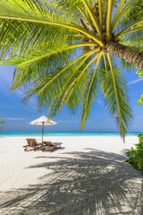 Summer beach landscape. Couple traveling, blue sunny sea sky, white sand palm trees, exotic shore. Honeymoon vacation, together chairs umbrella. Tropical freedom island, paradise leisure lifestyle