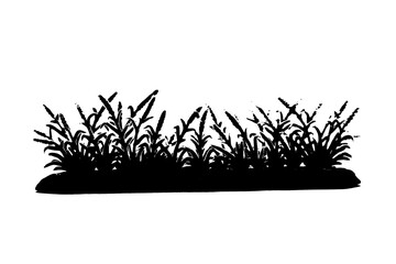 black silhouette of grass isolated on white background
