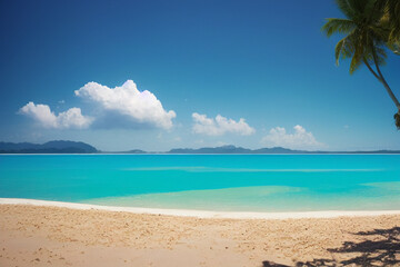 Fototapeta na wymiar A beach in the bahamas with a blue sky