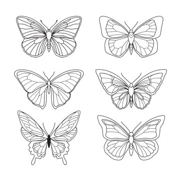 Set of simple hand drawn butterflies. Minimalistic tattoo of single line butterfly.