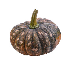 Slice of pumpkin isolated transparent png