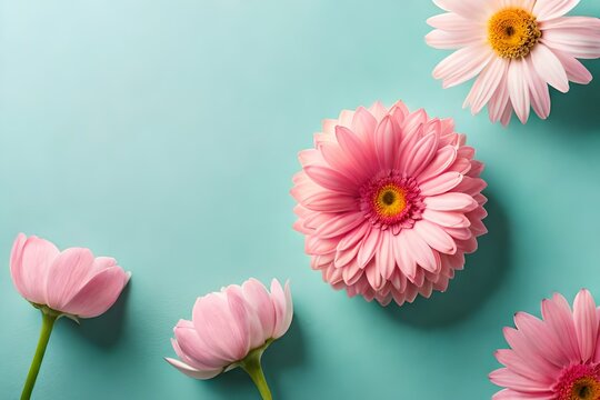 Top view image of pink flowers composition over pastel background with copy space
