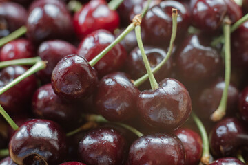 Cherries. Cherry background. Fruit background. Wet cherry with leaves and drops.
