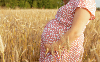 Photo of pregnant belly in nature. Pregnant woman in dress holds hands on belly on natural background of wheat field with haystacks at summer day. Concept of pregnancy, maternity. Close-up, outdoors