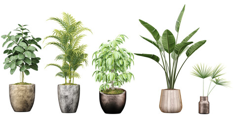 Transparent Beauty; Gorgeous Cut-Out Plant Images for illustration, digital composition and architecture visualization